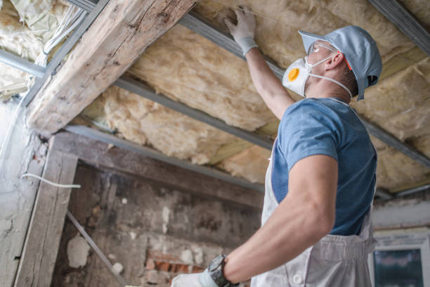 Best Geographic-Specific Insulation Services in Countryside, IL