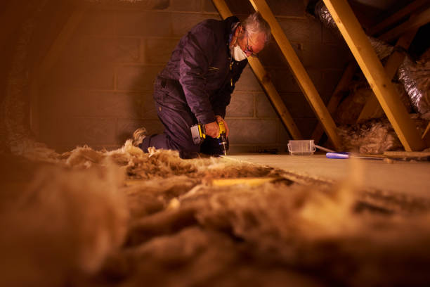 Best Spray Foam Insulation in Countryside, IL